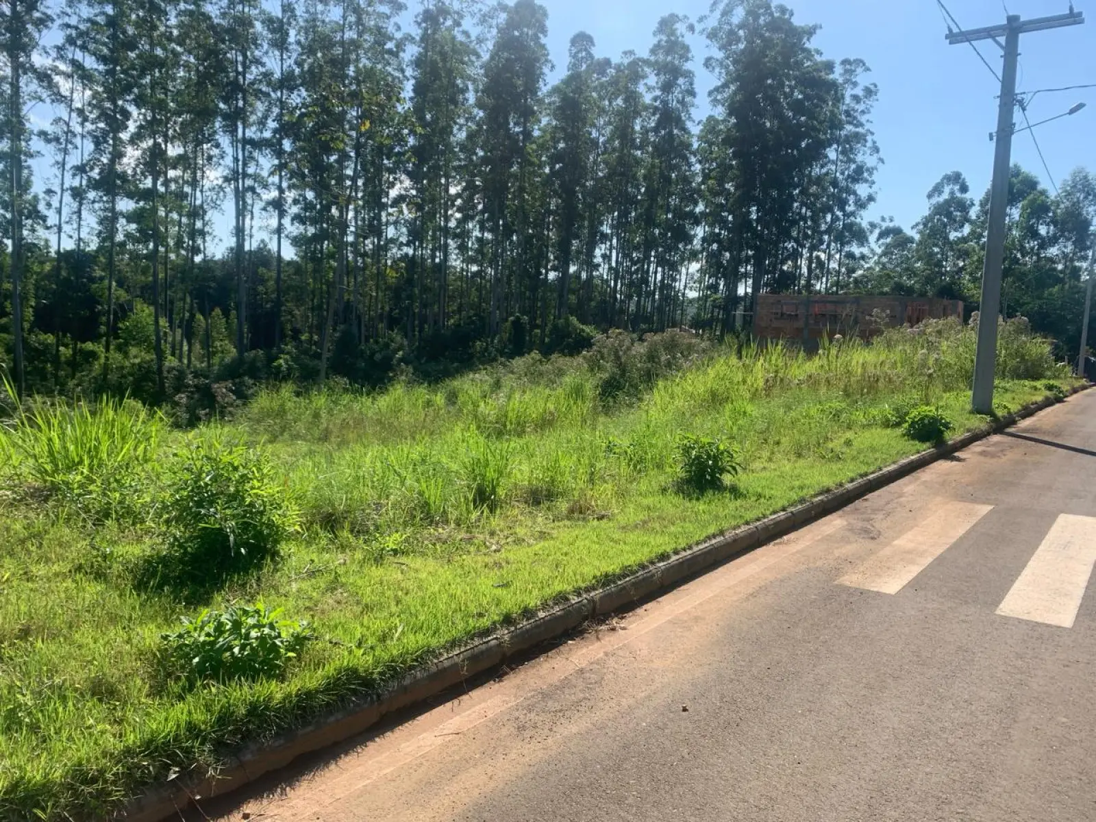 Terreno na Rua Projetada 01, Caravagio, Nova Veneza