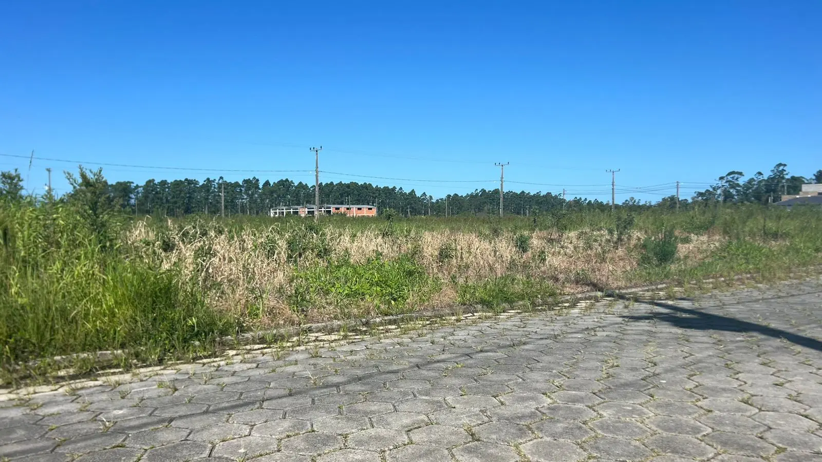 Terreno na Rua Projetada A, Paladini, Morro da Fumaça